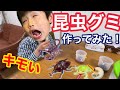 昆虫グミをつくってみた！グミップルラボ