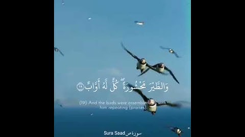 القارئ #عبدالرحمن_مسعد