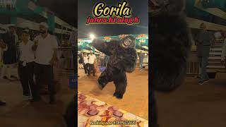 #gorilla #funny #ihavethisthingwithplants