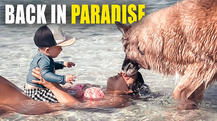 OFFICIALLY Back in Paradise | Bahamas Vlog 289