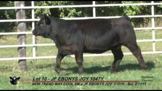 Janssen Farms The Chosen Few Sale Lot 10