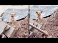 Funniest Videos Caught on Security Camera!
