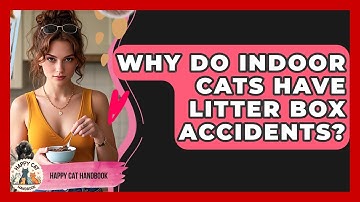 Why Do Indoor Cats Have Litter Box Accidents? - Happy Cat Handbook