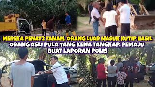 Download Lagu KECOH‼️ORANG ASLI BERG4DVH DENGAN PEMAJU DI KG TANAM, DAKWA CEROBOH TANAH MP3