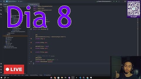 Dia 8 até conseguir estágio de programação