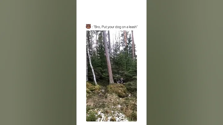 he got that dawg in him #shorts