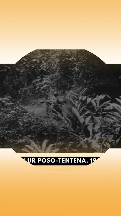 Dokumentasi Sejarah: Sulewana  (Sekarang PLTA Poso) Tahun 1929 #sejarah #palu #poso #pltasulewana