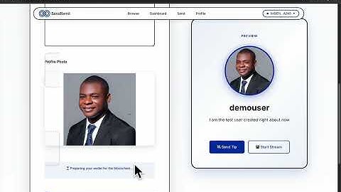 Solving the Remittance Crisis with Scroll zkEVM (ScrolRemit Demo)