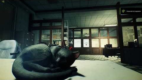 evil within 2 black cat sleeping