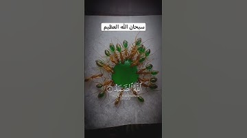 سبحان الله العظيم 🌷#صوت_جميل #تلاوة_خاشعة #رح_سمعك#اكسبلور #viral#300k #foryou #fyp #300k #fyp