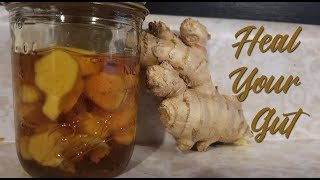 Fermented Honey Ginger ~ Natural Wellness ~ Gut Health