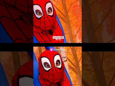 Into the Spiderverse: Blu-Ray vs Streaming