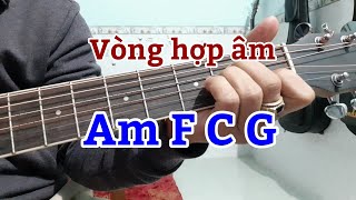 Tp luyn vng hp m Am F C G