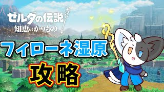 【ゼルダの伝説　知恵のかりもの】最後のダンジョンかな？湿原を目指せ！#7【Vtuber】