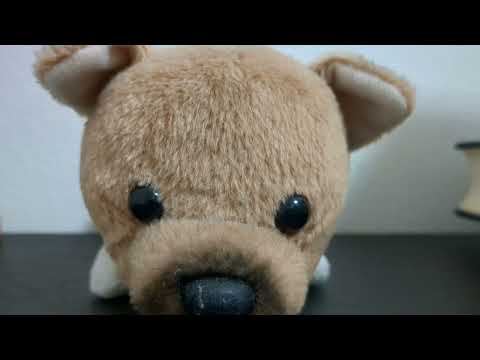 STU48「息をする心」ピアノ弾き語り　#STU48　#息をする心　#弾き語り　#ピアノ弾き語り　#ピアノ　#よしわん　#よしわんだふる　#ワンドル　#広島　#瀬戸内