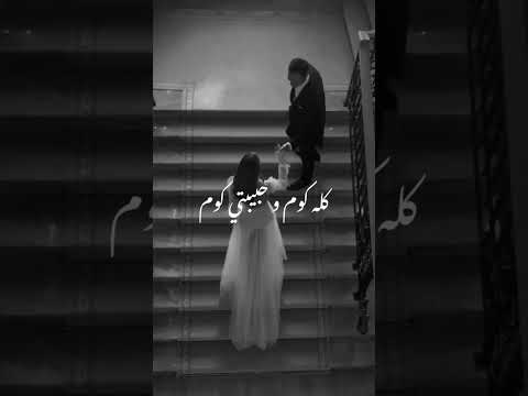 عمرو دياب فيها قوه بتبني فيا والنجاح بسببها هيا كله كوم وحبيبتي كوم