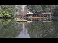 LIVE: 400,000 tulips light up West Lake