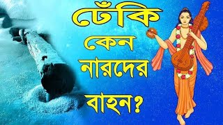 ঢেঁকি কেন নারদের বাহন।। দেবর্ষি নারদ কেন নারদ এর নামকরণ হয়েছিলো? নারদ কেন কলহ সংগঠক?