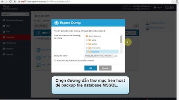 Hướng dẫn - Backupcơ sở dữ liệu trên  Plesk 12.x | P.A Việt Nam