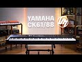 YAMAHA CK 61/88 Review | Better Music