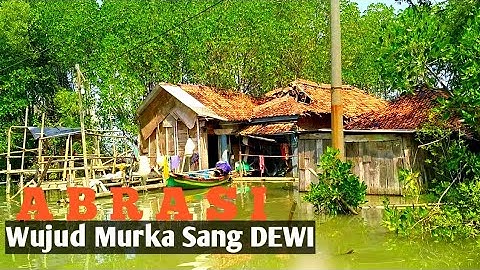 Wow - Melihat Desa Hilang di Demak Akibat Abrasi, Sunyi dan Seram - Demak Terancam Hilang