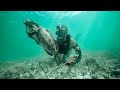 FIRST TIME Commercial Spearfishing + MEGA Mangrove!! (100FT DEEP)