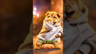 viral dog dance ! dog video #dog #pet #labrador