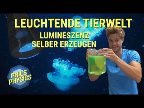 Video: Können Sie Lumineszenz in einem Satz verwenden?