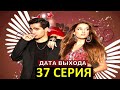 ЗИМОРОДОК 37 серия русская озвучка турецкий сериал