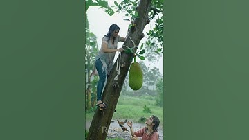 🌧 Village Woman Climbing Jackfruit Tree in Heavy Storm | Indian Rural Life Scene 🌳⚡