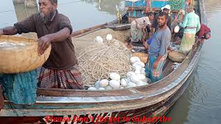 Amazing Fish unloading from Fishing boat | Fish unloading