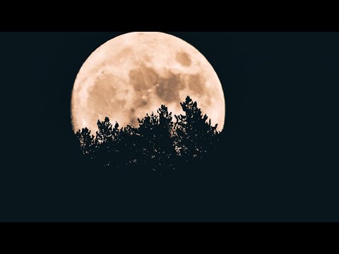 Live New Moon Manifestation Ritual