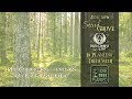 June 2019's Sacred Grove Inked Goddess Creations Box is Partnering with One Tree Planted!