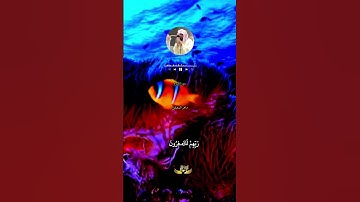 #سورة الروم بصوت القارئ ماهر المعيقلي  #اكسبلور surat erroum #maheralmuaiqly