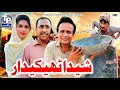 Sheda Thaky Dar Saraiki Funny Drama Akbar Jalali TP RANG 