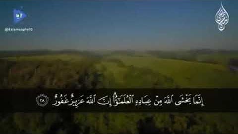 بعض الآيات من سورة فاطر بصوت | القارئ اسلام صبحي | تلاوة هادئة مريحة للقلب