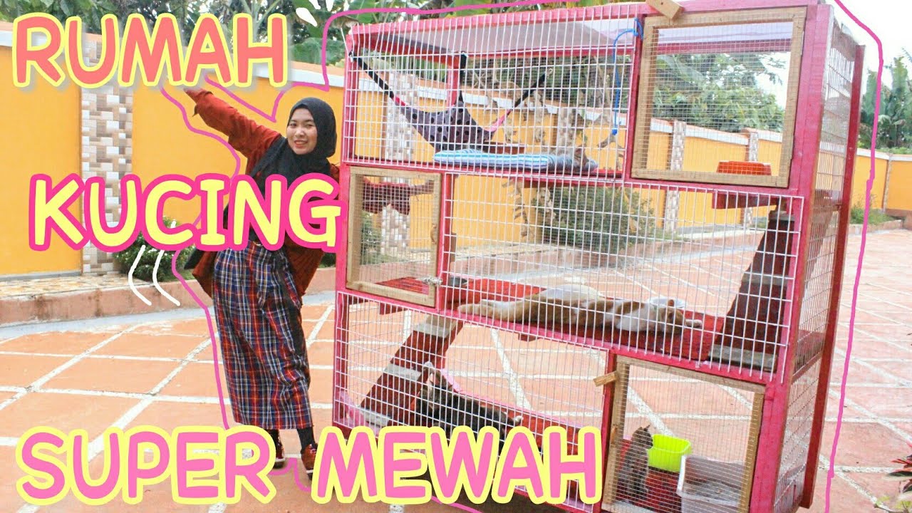 BIKIN RUMAH KUCING SUPER MEWAH 3 LANTAI  Soniashsp