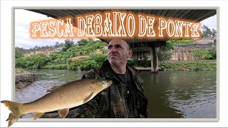 Pesca debaixo de Ponte