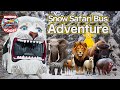 They Don't Look Cold! | Wild Animals Playing in a Winter Wonderland