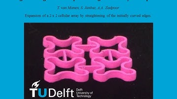 Expansion of a 3D printed cellular array, TU Delft, Prof Amir A Zadpoor