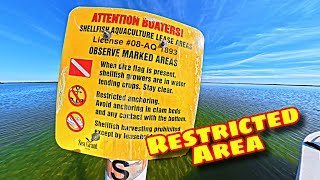 WHAT HAPPENED TO THE CLAMS? | Bringing Back SW Florida Shellfish Industry