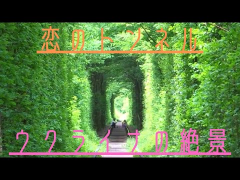 【世界の絶景】ウクライナ 恋のトンネル/Ukraine Tunnel of Love 【Great View】