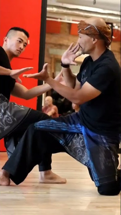 Pencak silat Martial arts technique
