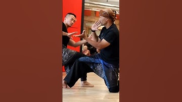Pencak silat Martial arts technique