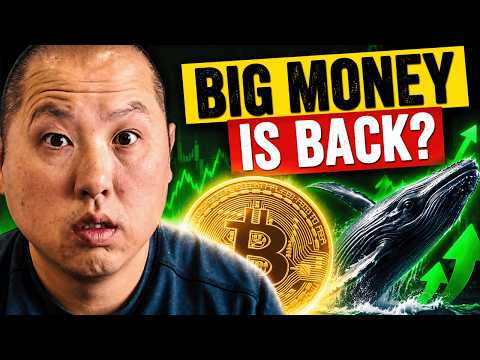 Bitcoin Whales Are Quietly Loading Up… $777M Just Entered Crypto Before the NEXT Reversal