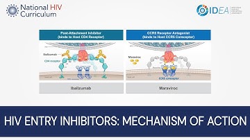 Mini-Lecture Series: HIV Entry Inhibitors: Mechanism of Action