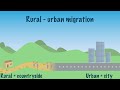 Growth Cities and Immigration
