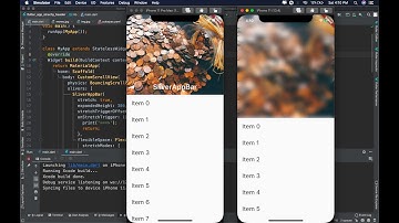 Stretchable Header in Flutter