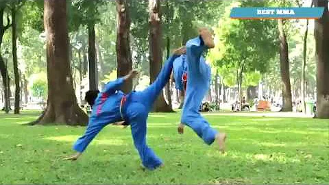 Viet Vo Dao - Dangerous Martial Art