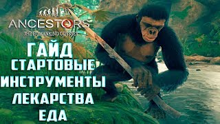 ГАЙД: Инструменты, Лекарство и Еда Ancestors The Humankind Odyssey